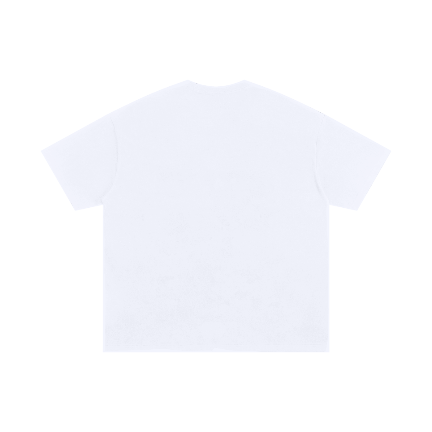 Precursor Core Oversize Tee