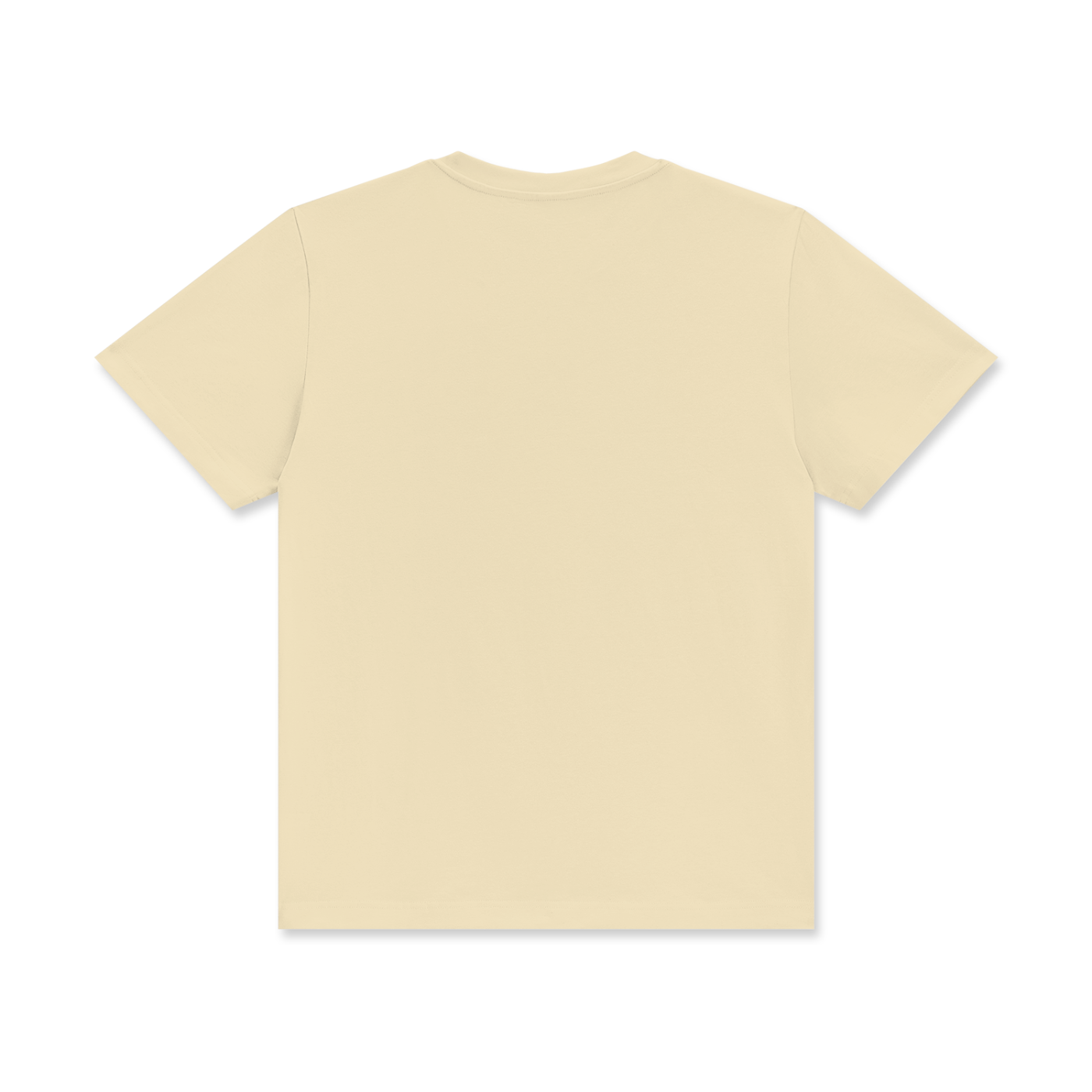 Essential Regular Fit T-Shirt | Precursor